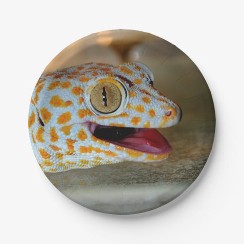 Close up portrait of Tokay gecko in TulaZoo Paper Plates