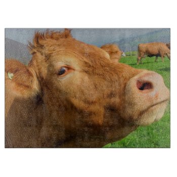 Close Up Portrait Photo Of A Brown Cow Cutting Board by Tissling at Zazzle