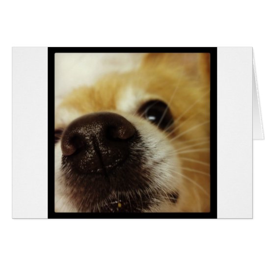 Close up pup! card
