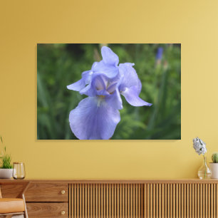 Close-up Purple Iris Flower Canvas Print