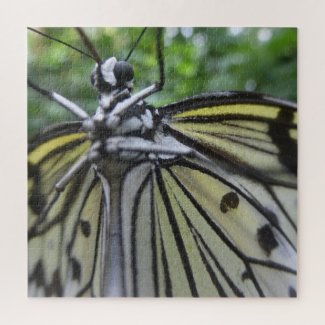 Close up Puzzle: Black and White Butterfly