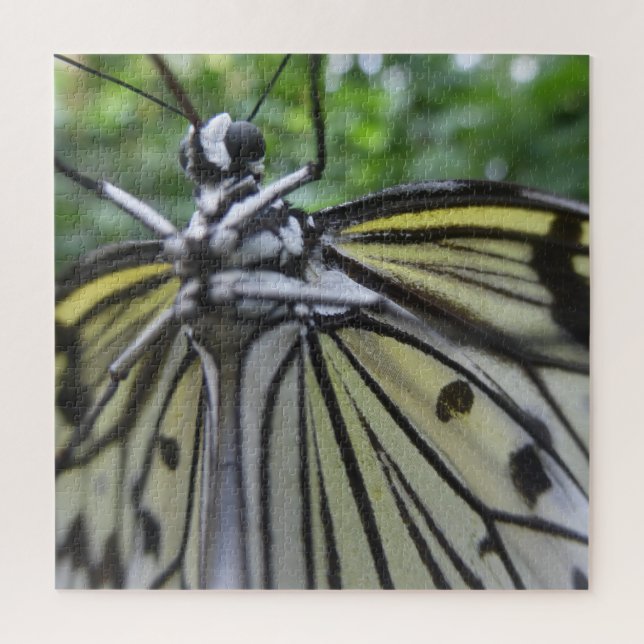 Close up Puzzle: Black and White Butterfly Jigsaw Puzzle (Vertical)