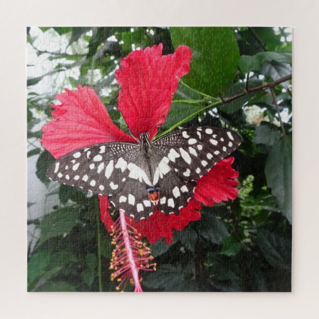 Close up Puzzle: Black White Spotted Butterfly
