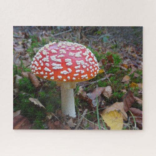 Close Up Puzzle Cute Fly Amanita Jigsaw Puzzle
