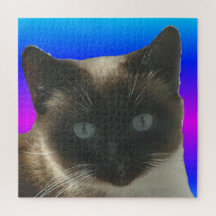 Close up Puzzle: Cute Siamese Cat