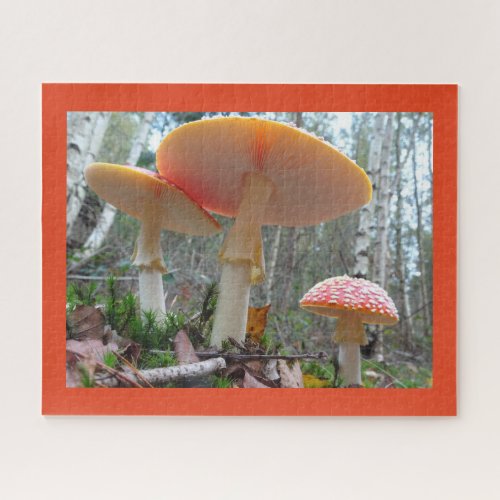 Close Up Puzzle Fly Amanitas with Cust Border Jigsaw Puzzle
