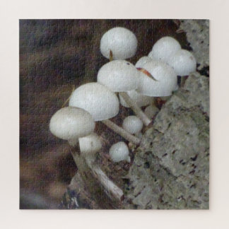 Close Up Puzzle: Porcelain Mushrooms Jigsaw Puzzle