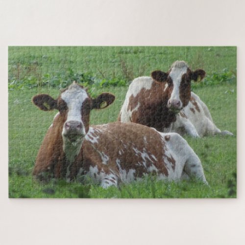 Close Up Puzzle Two Cute White_Brown Cows Jigsaw Puzzle