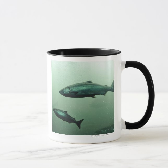 Close up shot of salmon running mug (Right)