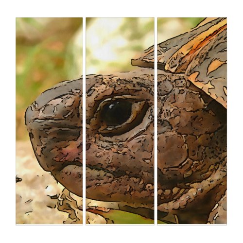 Close Up Side Portrait Of A Turkish Tortoise Triptych
