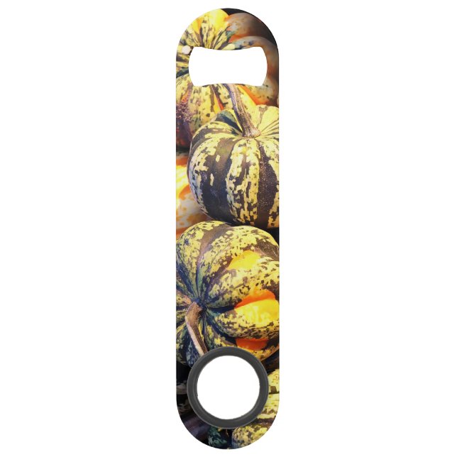 Close Up Stripey Pumpkins  Bar Key (Front)