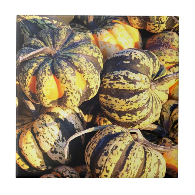 Close Up Stripey Pumpkins  Ceramic Tile (Front)