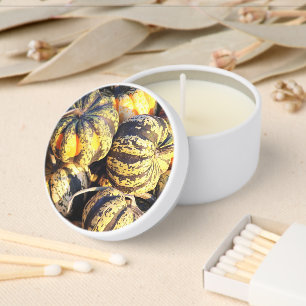 Close Up Stripey Pumpkins Mini Candle Favors