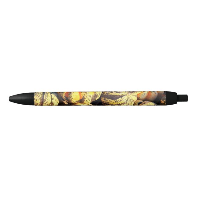 Close Up Stripey Pumpkins  Pen (Front)