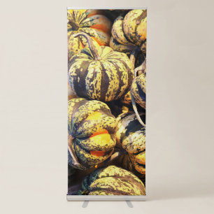 Close Up Stripey Pumpkins  Retractable Banner