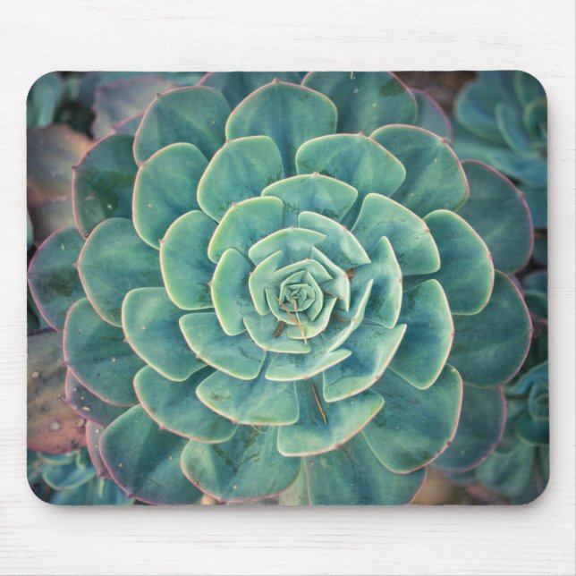 Close-up Succulent Mouse Pad (Front)