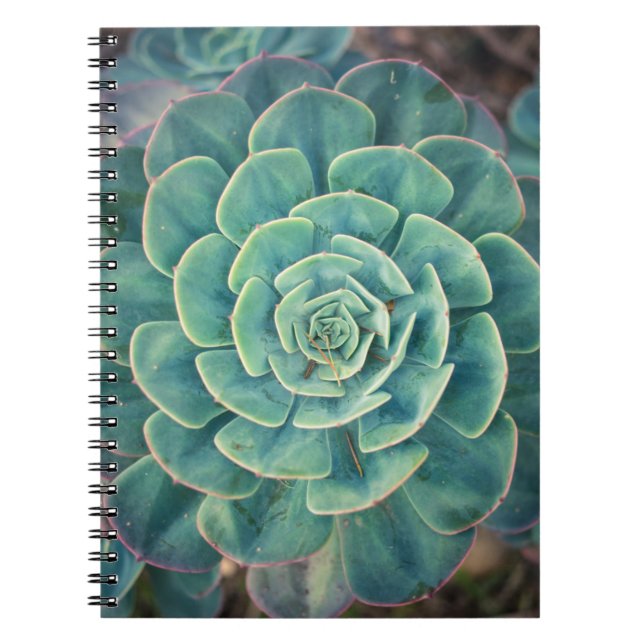 Close-up Succulent Notebook (Front)