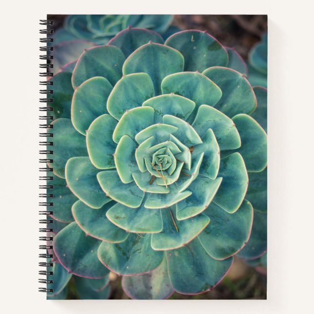 Close-up Succulent Notebook (Front)