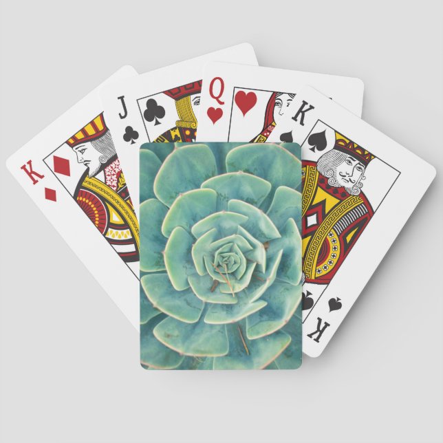 Close-up Succulent Poker Cards (Back)