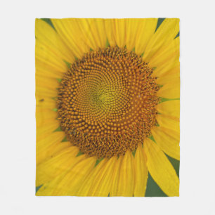 Close-up Sunflower Blanket