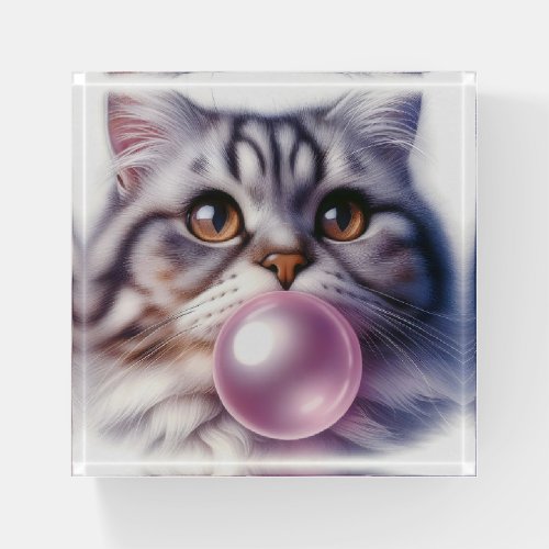 Close Up Tabby Cat Blowing Bubble Gum  Paperweight