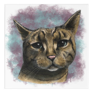 Close Up Tabby Cat Realistic Drawing Acrylic Print