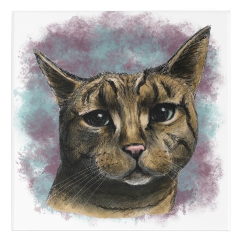 Close Up Tabby Cat Realistic Drawing Acrylic Print