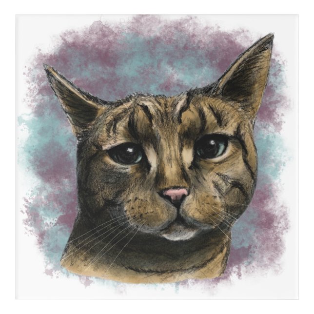 Close Up Tabby Cat Realistic Drawing Acrylic Print (Front)