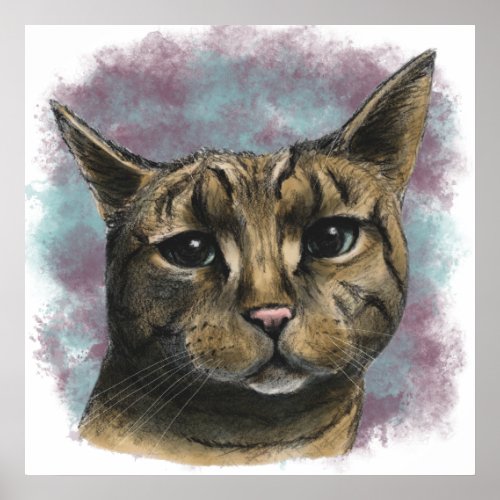 Close Up Tabby Cat Realistic Drawing Poster