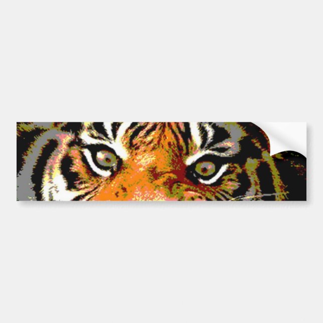 Close-up Tiger Eyes Car Bumper Sticker (Front)