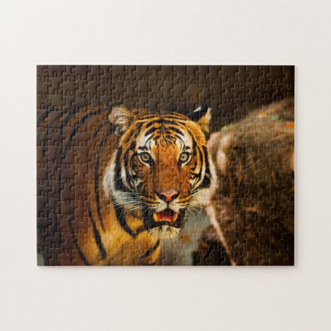 Close-up Tiger Jigsaw Puzzle (Horizontal)