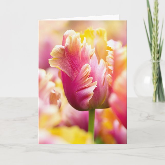 Close-up Tulips Card (Front)