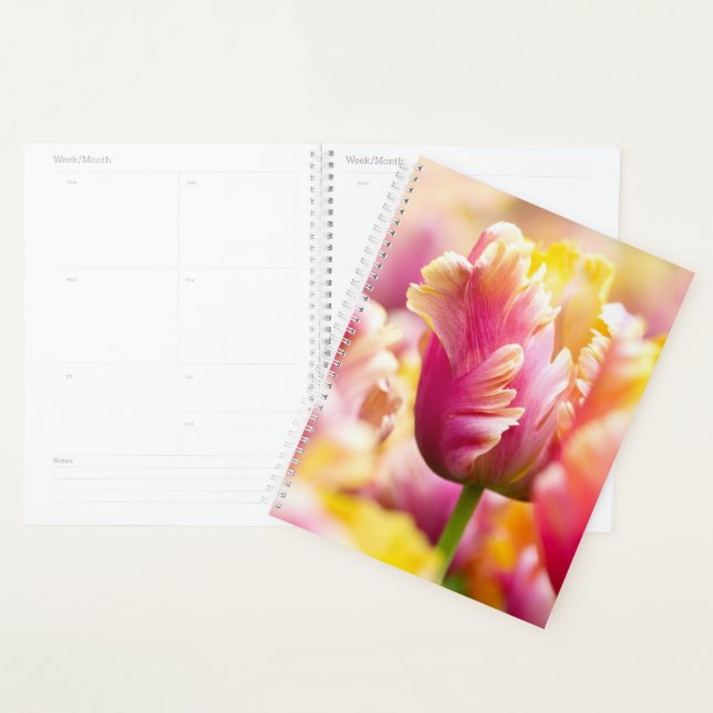 Close-up Tulips Planner (Display)