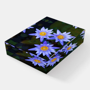 Close-Up View of Beautiful Purple Lotus Flower Paperweight