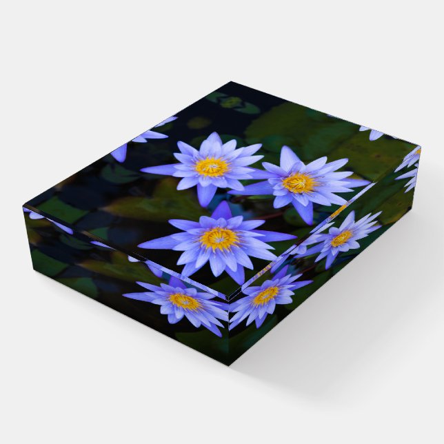 Close-Up View of Beautiful Purple Lotus Flower Paperweight (Angled)