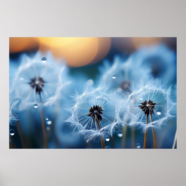 Close-up View of Dandelions with Water Droplets Poster (Front)