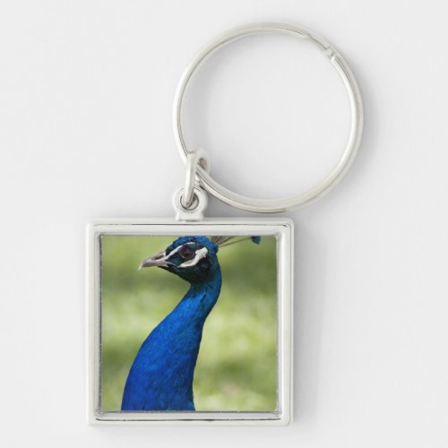 Close_up view of Peacock Botanical Gardens Keychain