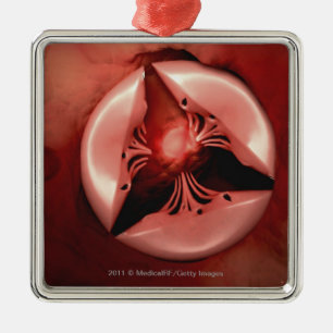 Close up view of the tricuspid valve in the heart metal ornament
