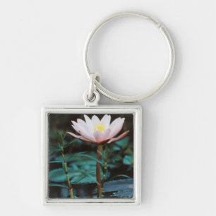 Close-Up view of Water Lily at Inle Lake Keychain