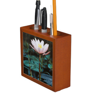 Close-Up view of Water Lily at Inle Lake Pencil/Pen Holder