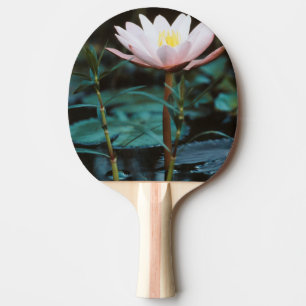 Close-Up view of Water Lily at Inle Lake Ping Pong Paddle