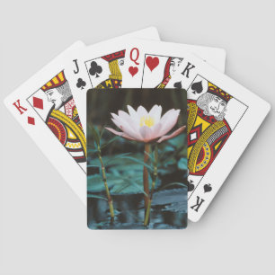 Close-Up view of Water Lily at Inle Lake Poker Cards
