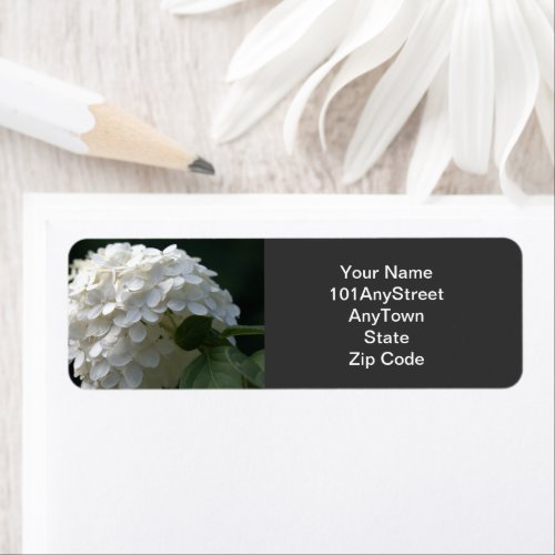 Close_up White Limelight Hydrangea Label