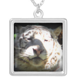 Close Up White Tiger Silver Plated Necklace