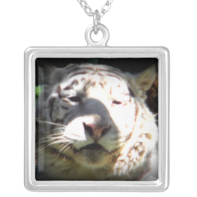 Close Up White Tiger Silver Plated Necklace (Front)