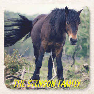 Close-up Wild Horse Square Paper Coaster