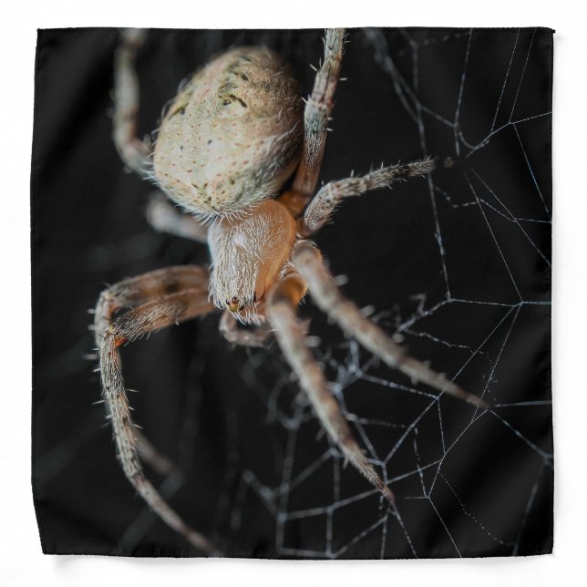 Close Up Wonder: European Garden Spider Bandana (Front)
