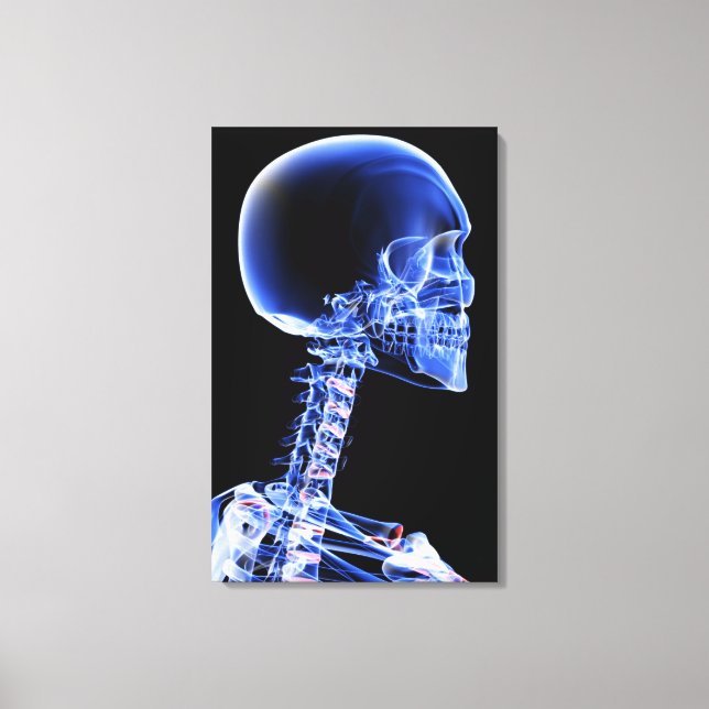 Close up x-ray of the bones in the neck canvas print (Front)