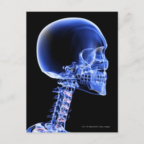 Close up x_ray of the bones in the neck postcard