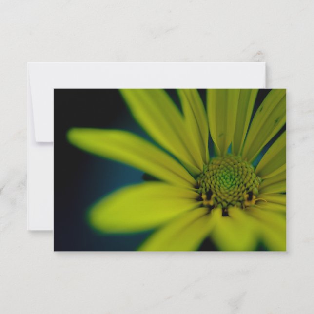 Close up Yellow Wildflower Note Card (Front)